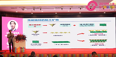 2019第三屆太陽鳥畜牧產業無抗發展大會（王愛勤研究員報告）