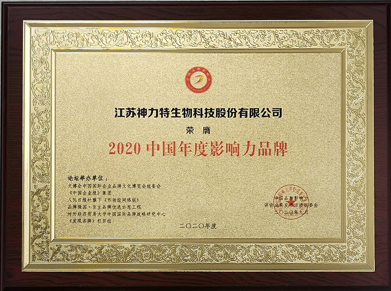 6、2020中國年度影響力品牌.jpg